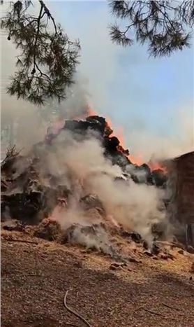 Yangın Ormanlık Alana  Sıçramadan Söndürüldü