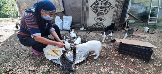 Tarsus Çamlıyayla’da Sokak Hayvanlarına  Sahip Çıkan Kadına Mama Desteği