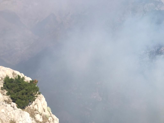 Tarsus’taki Orman Yangını Kontrol Altına Alındı